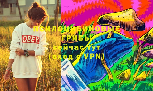 соль ск Нефтегорск