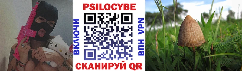 МЕГА ссылка  Богданович  Псилоцибиновые грибы мицелий 