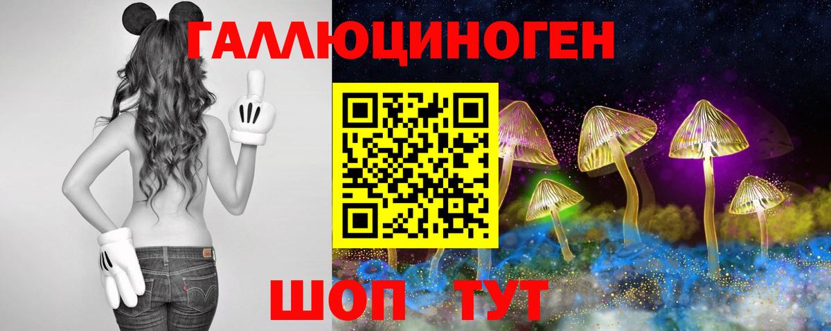 Галлюциногенные грибы GOLDEN TEACHER Богданович