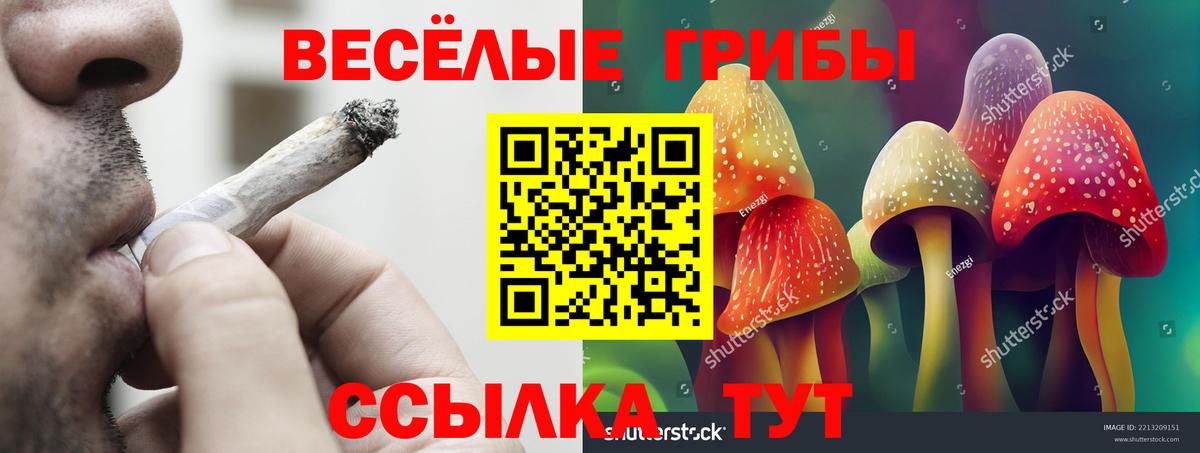 Богданович  Псилоцибиновые грибы Cubensis  купить закладку  Галлюциногенные грибы GOLDEN TEACHER  Вход с VPN 